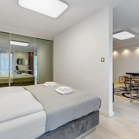 Apartment Downtown Stara Winiarnia *